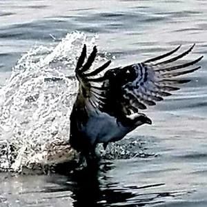 Meet your Posher, Mike